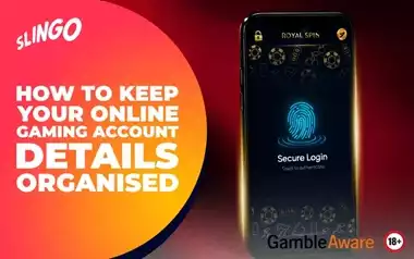 How-to-Keep-Your-Online-Gaming-Account-Details-Organised