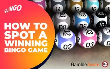 How to Spot a Winning Bingo Game