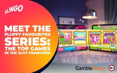 Meet the Fluffy Favourites Series