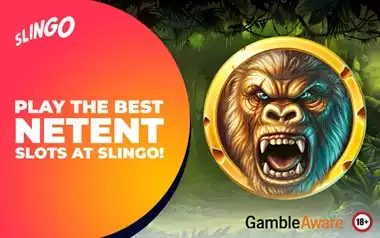Play the Best NetEnt Slots at Slingo! 