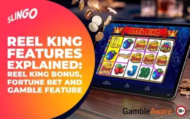 Reel-King-Features-Explained-Reel-King-Bonus,-Fortune-Bet-and-Gamble-Feature