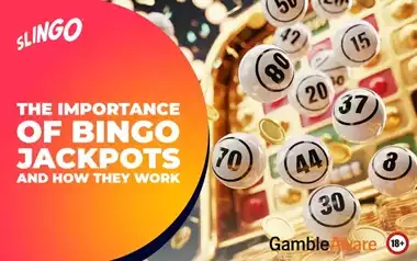 The Importance of Bingo Jackpots and How They Work
