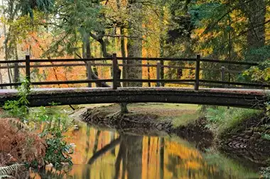 Luxury New Forest Hotels