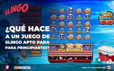 Que Hace un Juego de Slingo Apto Para Principiantes