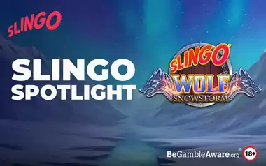 Slingo Wolf Snowstorm