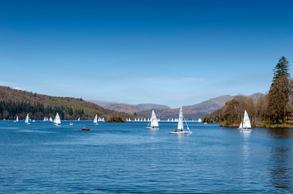 12 Luxury Dog-Friendly Hotels In The Lake District For Your Next Adventure