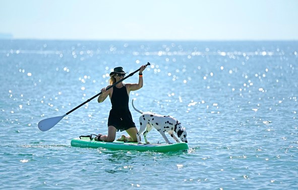 The Top 10 Luxury Dog-Friendly Cottages In Dorset