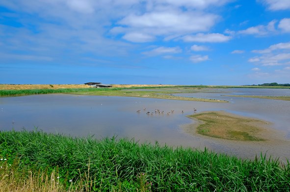 The Top 15 Luxury Hotels Norfolk Has To Offer