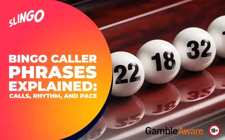 Bingo Caller Phrases Explained