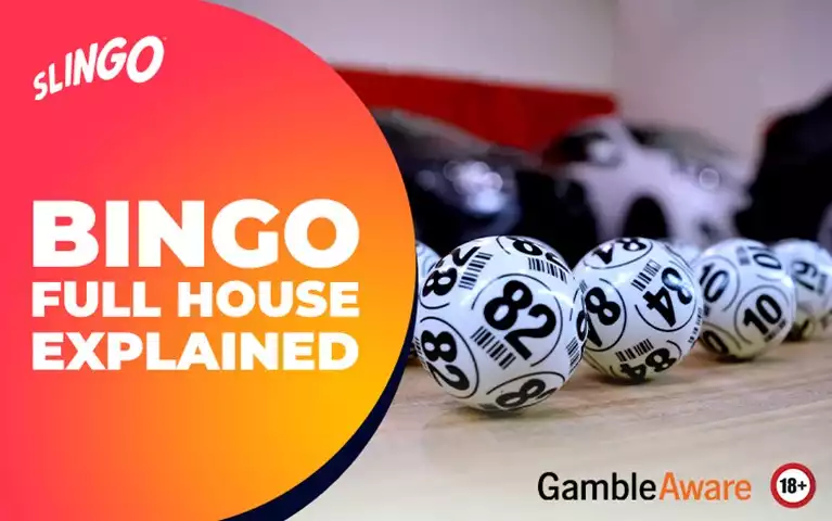 Full House Bingo Guide