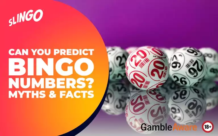 Can You Predict Bingo Numbers? Myths & Facts
