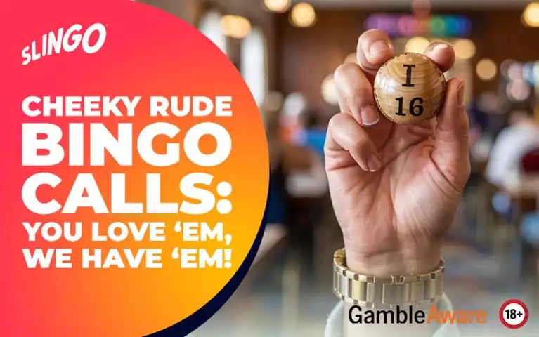 Cheeky Rude Bingo Calls: You Love ‘em, We Have ‘em! 