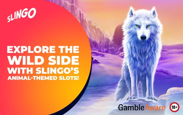 Explore the Wild Side with Slingo’s Animal-Themed Slots! 