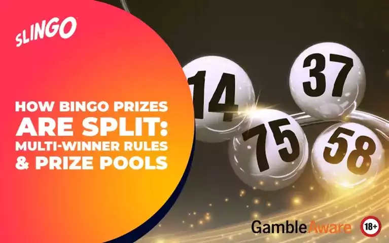 How Bingo Prizes Are Split: Multi-Winner Rules & Prize Pools