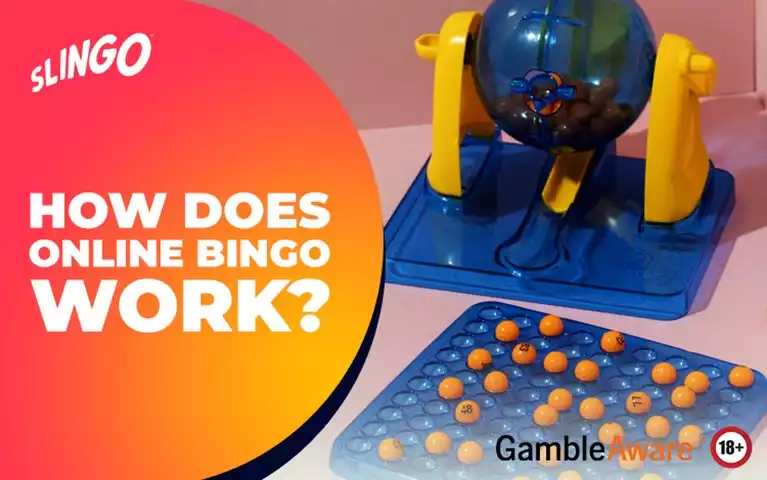 How Does Online Bingo Work?