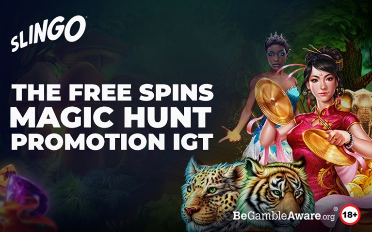 The Free Spins Magic Hunt Promotion IGT