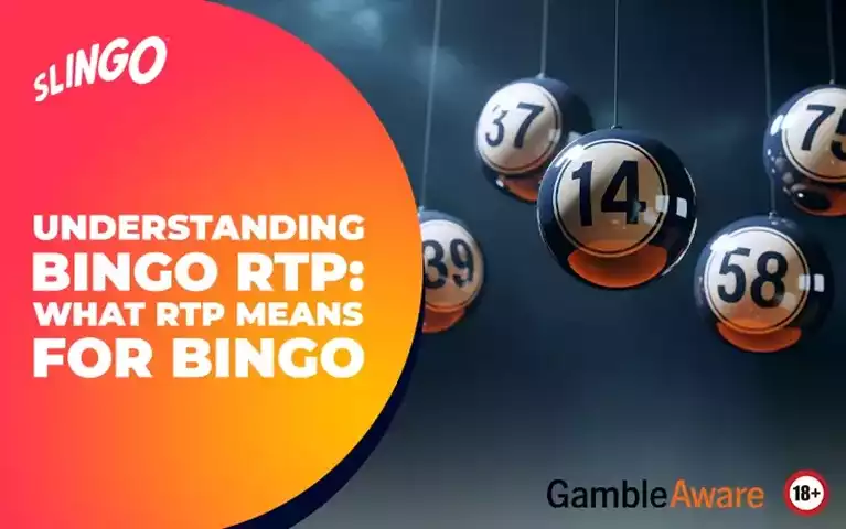 Understanding Bingo RTP