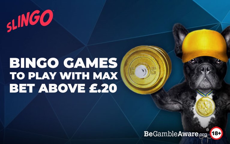 Bingo Games with Max bet 20 