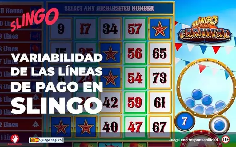 Variabilidad de las Lineas de Pago en Slingo