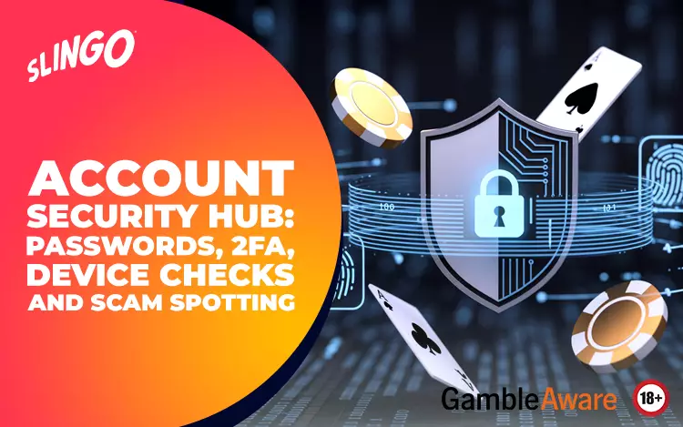 Account Security Hub