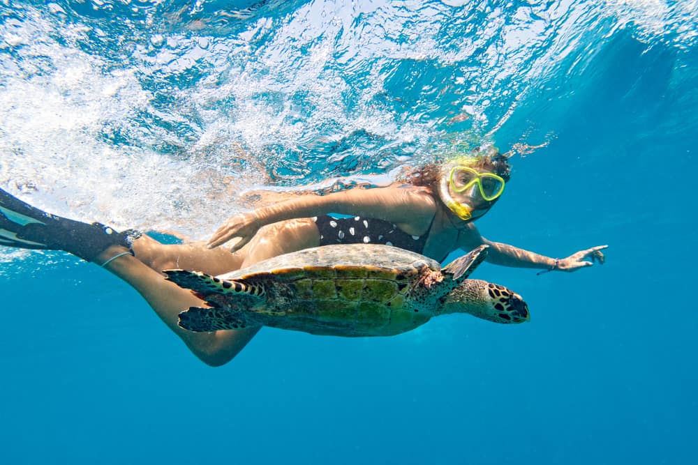 Person snorkelling underwater alongside a sea turtle