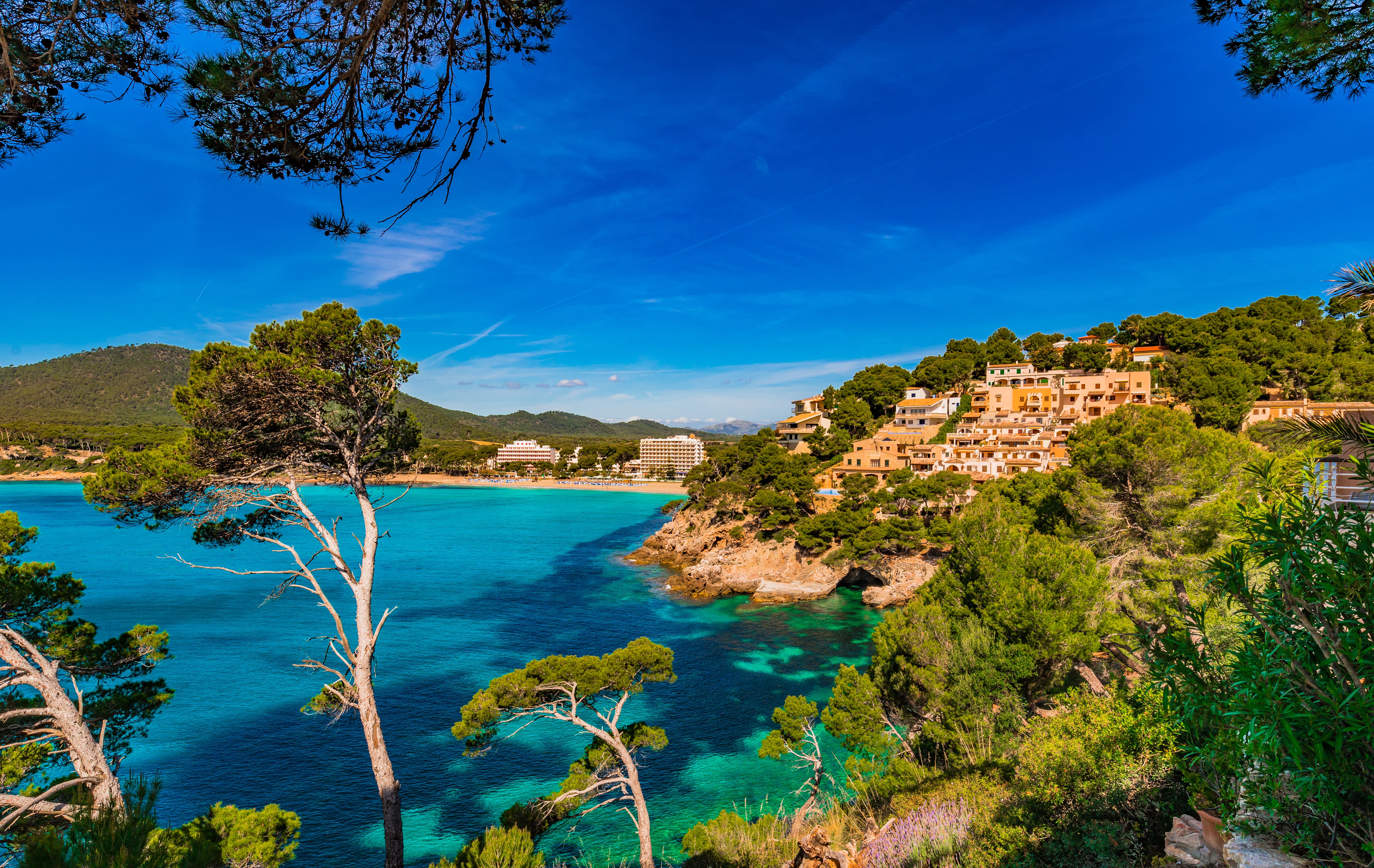 Blue sky and blue sea surrounded by trees with Spanish style homes in the background on a hill