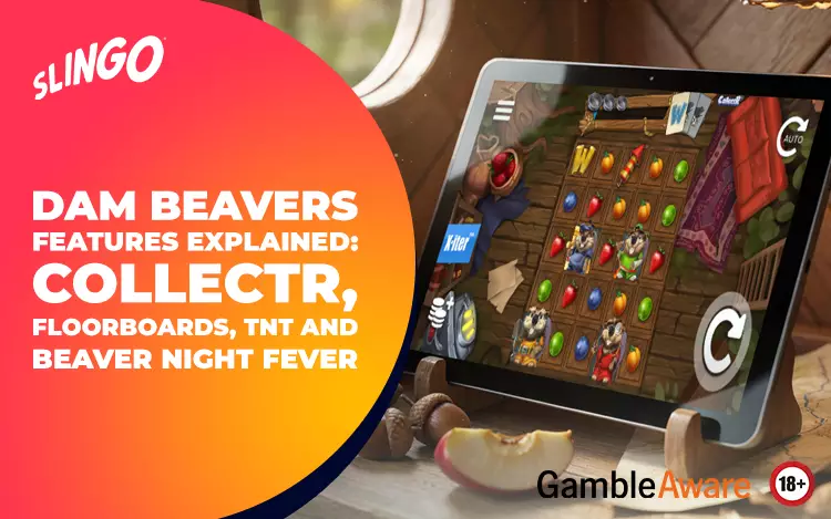 Dam-Beavers-Features-Explained-CollectR,-Floorboards,-TNT-and-Beaver-Night-Fever