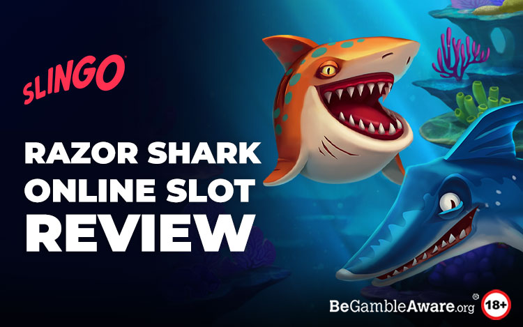 Razor Shark Online Slot Review:  Dive into This Highly Volatile and Fun Slot