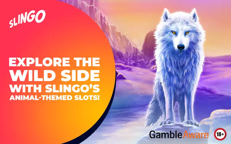 Explore the Wild Side with Slingo’s Animal-Themed Slots! 