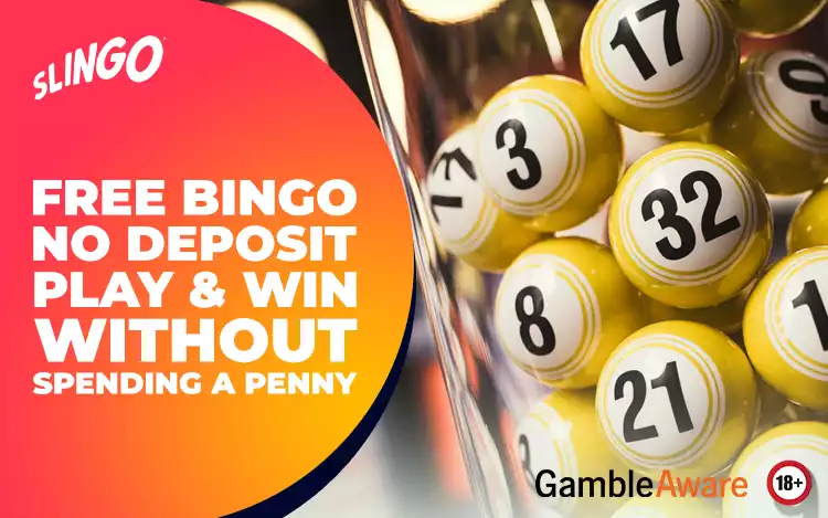 Free Bingo No Deposit – Play & Win Without Spending a Penny