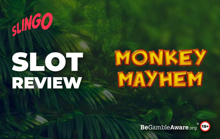 Monkey Mayhem Slot Game Review