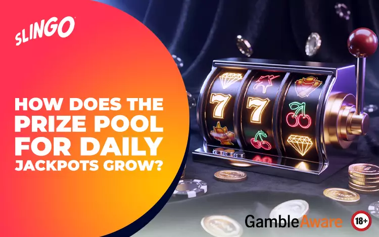 How Does the Prize Pool for Daily Jackpots Grow?