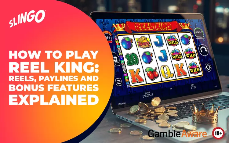 How-to-Play-Reel-King-Reels,-Paylines-and-Bonus-Features-Explained