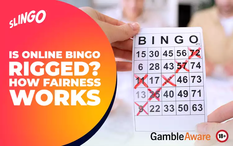 Is Online Bingo Rigged? How Fairness Works