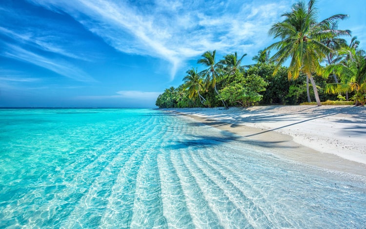 A Maldives beach with clear bright blue water, white sand and palm trees under a clear blue sky