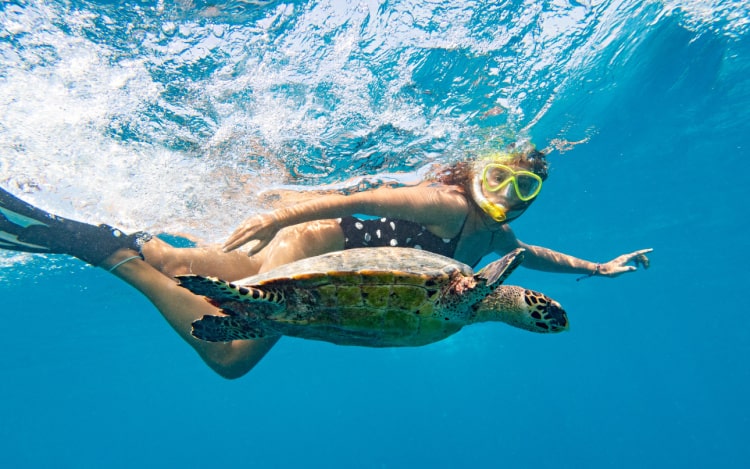A woman underwater with snorkelling gear and flippers swimming next to a tortoise
