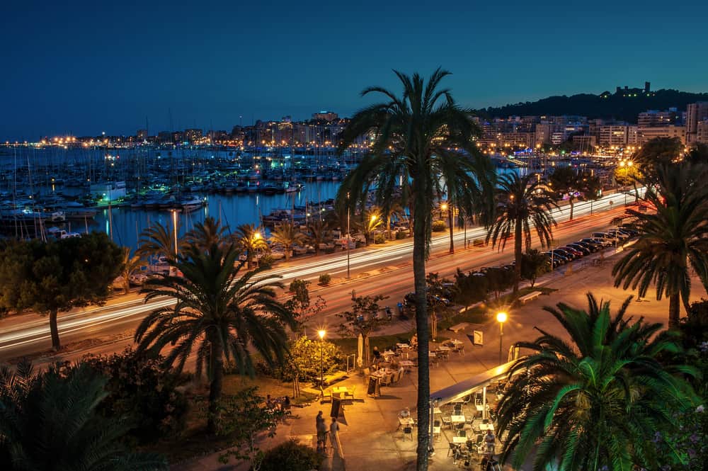 Late evening view of palm trees and harbour at Paseo Marítimo