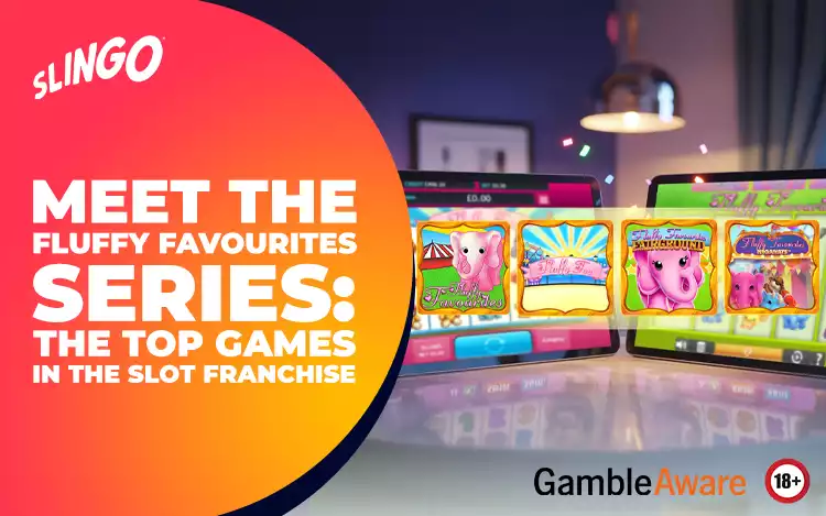 Meet the Fluffy Favourites Series