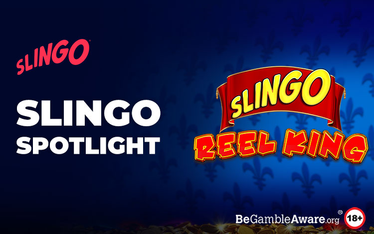 Slingo Reel King Review