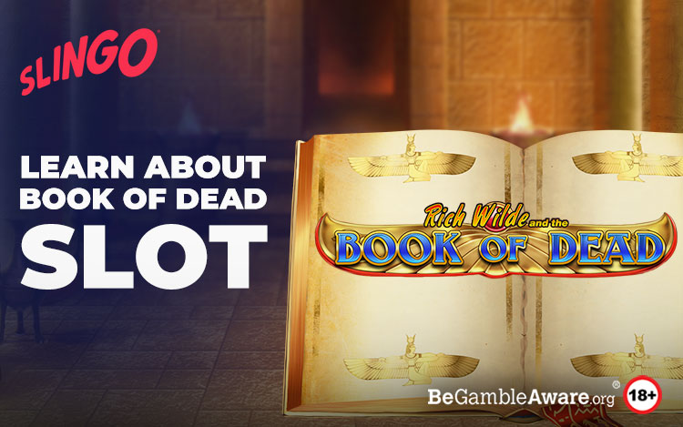 What Makes Book of Dead so Popular?