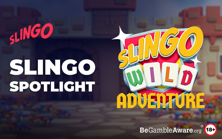 Slingo Wild Adventure Review