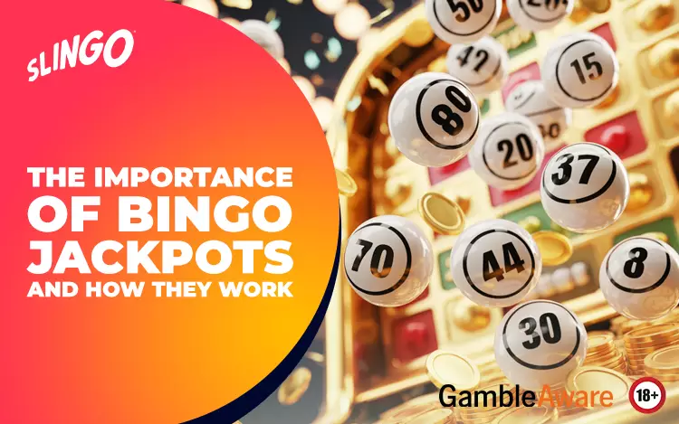 The Importance of Bingo Jackpots and How They Work