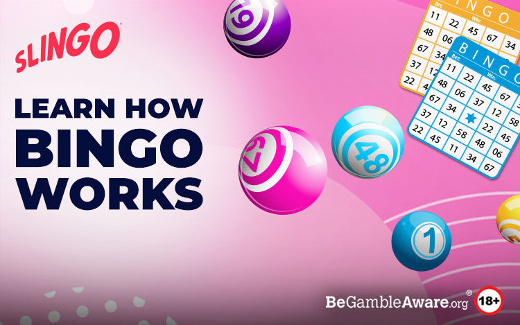 How Online Bingo Works
