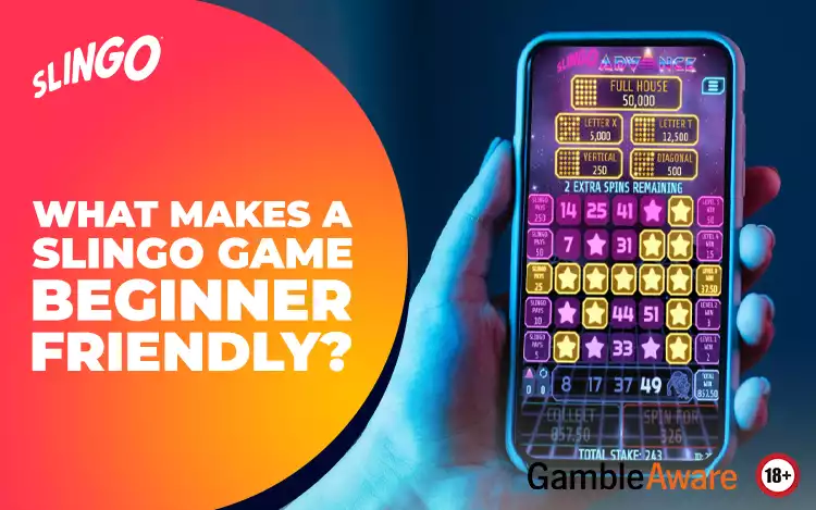 What Makes a Slingo Game Beginner‑Friendly