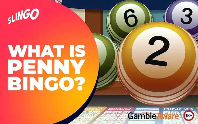 what is penny bingo