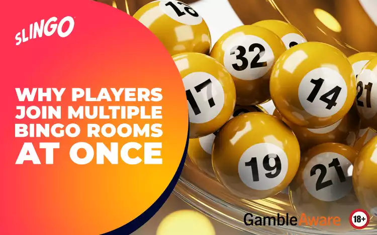 Why Players Join Multiple Bingo Rooms at Once