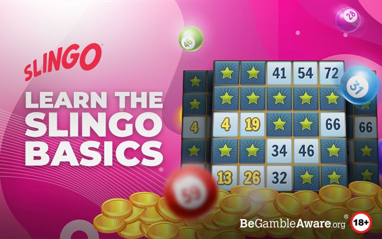 Beginner’s Guide To Slingo
