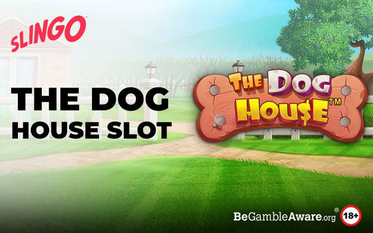 The Dog House Slot Review: Who Let the Dogs Out!?