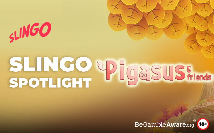 Pigasus and Friends Review