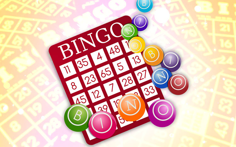 Choose Your Favourite Bingo Game